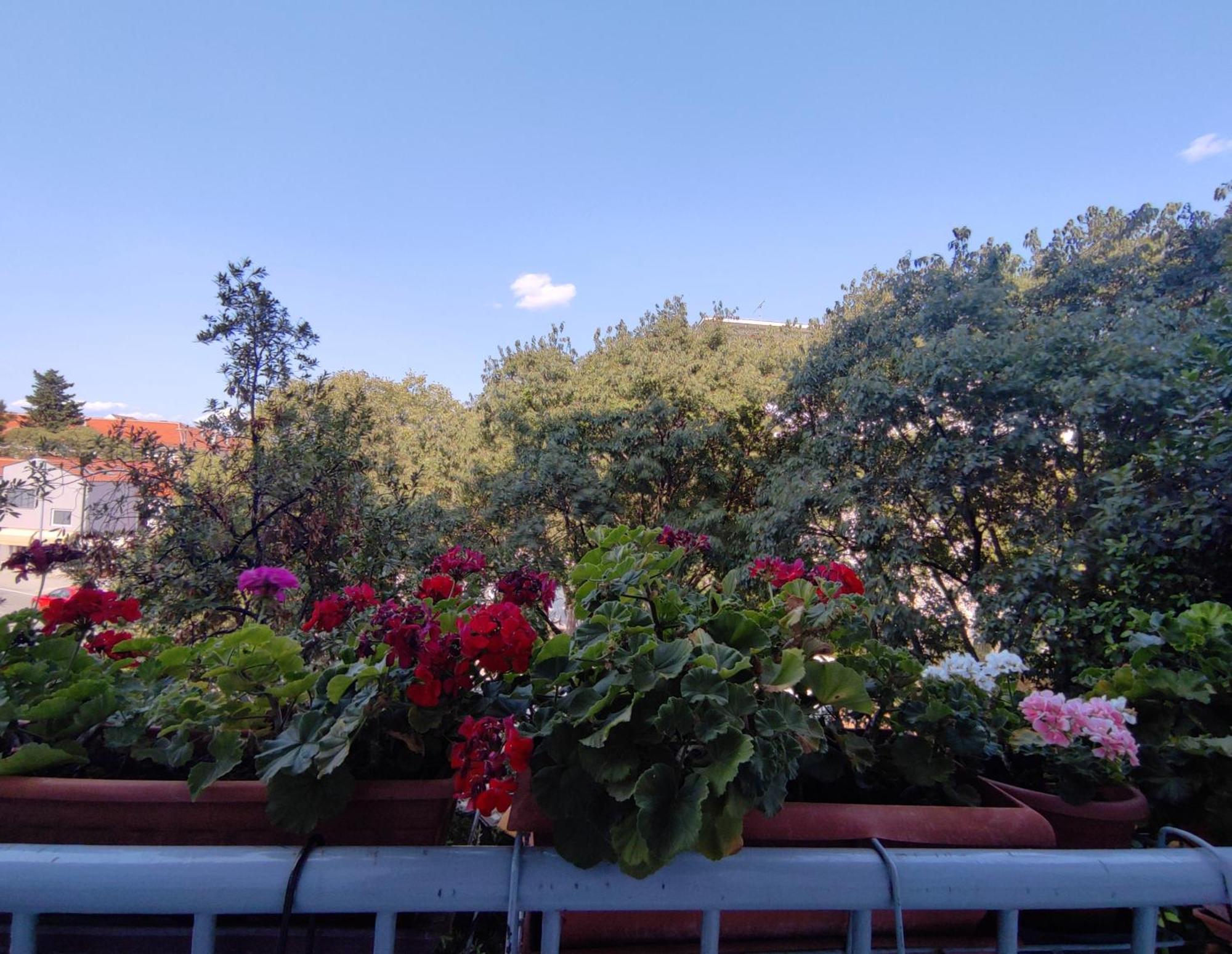 Apartment Bella Rosa *